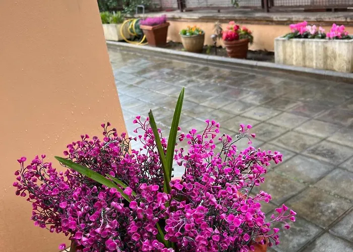 Dei Fiori Rome