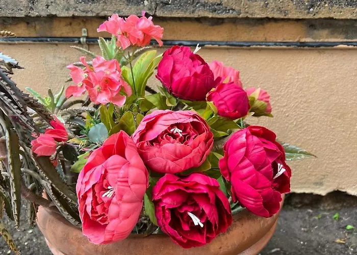 Dei Fiori